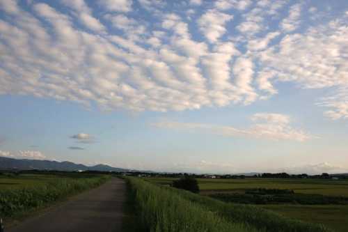 信濃川堤防 川袋町 長岡市 新潟県
