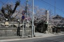 白山神社 押切２丁目 西区 名古屋市 愛知県