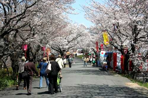 長良川堤防 墨俣町墨俣 大垣市 岐阜県