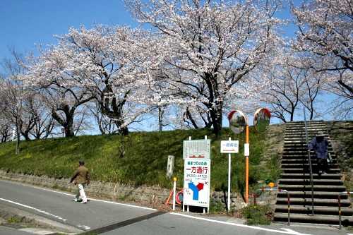 美濃路 墨俣町さい川堤外地 大垣市 岐阜県