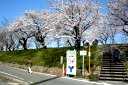 美濃路 墨俣町さい川堤外地 大垣市 岐阜県