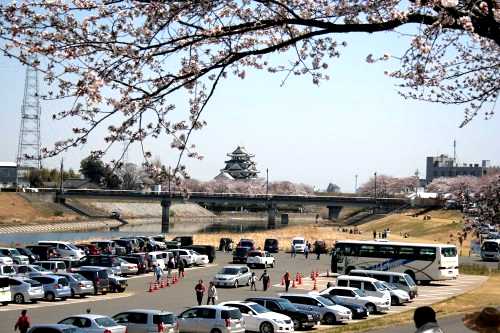 犀川遊水地 墨俣町さい川堤外地 大垣市 岐阜県