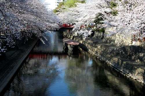 水門川・船町港跡 船町１丁目 大垣市 岐阜県
