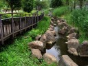 万葉公園 古隅田川 小菅