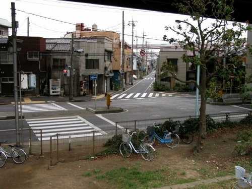 荒川堤防より旧水戸街道をのぞむ 小菅