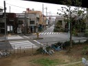 荒川堤防より旧水戸街道をのぞむ 小菅