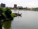 中川 中川橋下流