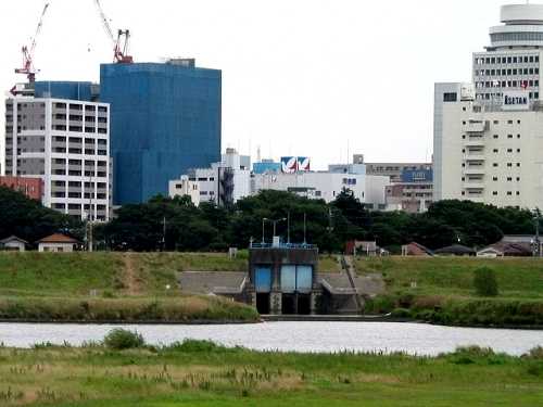 金町－松戸渡し跡