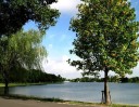 水元公園 葛飾区