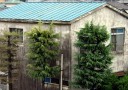アパート 下河岸付近 松戸