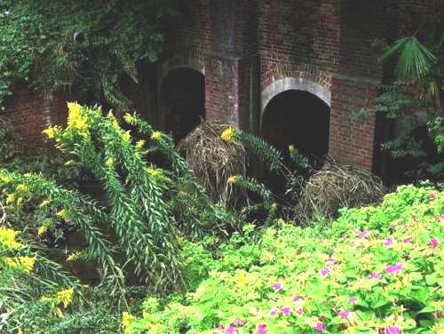 レンガ橋・坂川 角町 松戸