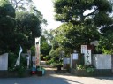 民家 小金 松戸市