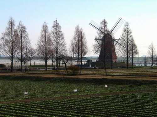 あけぼの山公園 布施 柏市