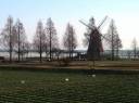 あけぼの山公園 布施 柏市
