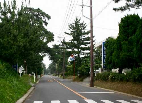 水戸街道松並木 東若松町 土浦