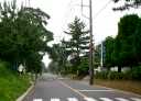 水戸街道松並木 東若松町 土浦