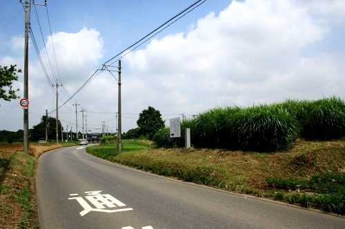 成井一里塚 成井 若柴宿－牛久宿間 牛久市