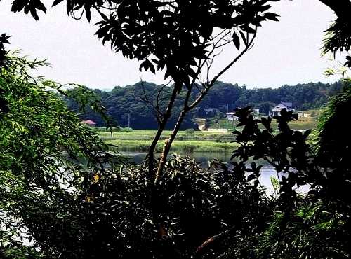 「河童の碑」から牛久沼を覗く 城中町 牛久
