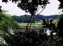 「河童の碑」から牛久沼を覗く 城中町 牛久