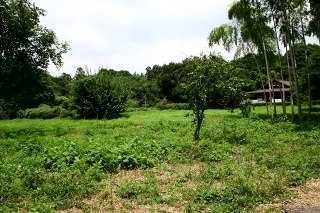 左：牛久藩陣屋跡 右：牛久城址 城中町 牛久