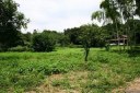 左：牛久藩陣屋跡 右：牛久城址 城中町 牛久