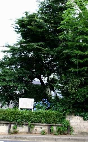 中根の一里塚 中根町 牛久