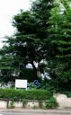 中根の一里塚 中根町 牛久