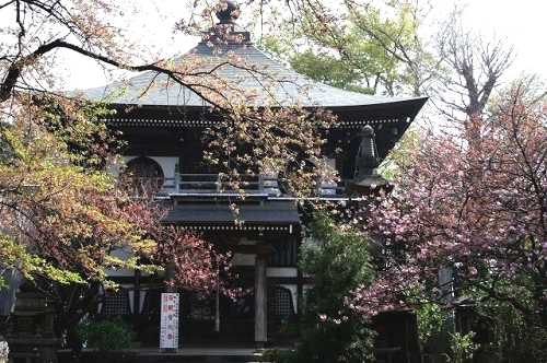 長禅寺三世堂 取手