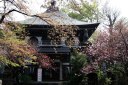 長禅寺三世堂 取手
