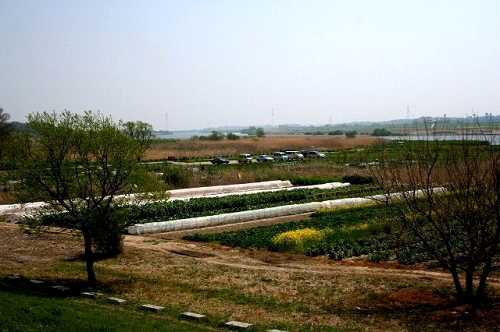 長兵衛新田 取手