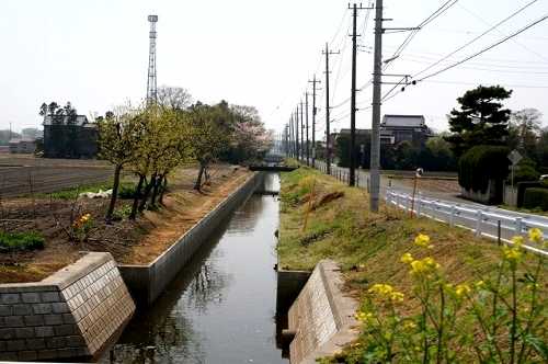 清水 藤代