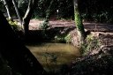 種池 若柴町 龍ヶ崎市