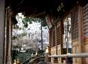 女化神社 女化町 龍ヶ崎市
