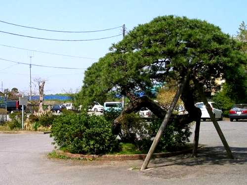 藤代本陣跡 藤代