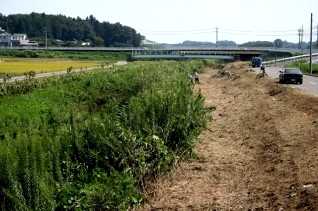 巴川（前方は国道６号線） 美野里－茨城町界
