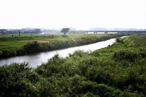 高橋より涸沼川上流 小鶴 茨城町 東茨城郡 茨城県