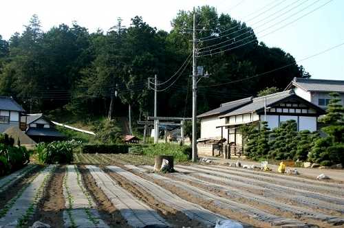 村社諏訪神社入口 小鶴 茨城町 東茨城郡 茨城県