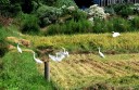 東永寺 茨城町 東茨城郡 茨城県