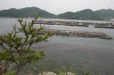 鰯浜 相生湾 兵庫県
