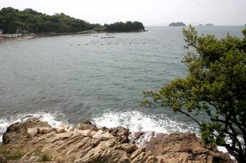 藻振鼻 唐荷三島 室津 たつの市 兵庫県