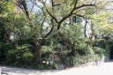 亀塚公園 三田４丁目 港区 東京都