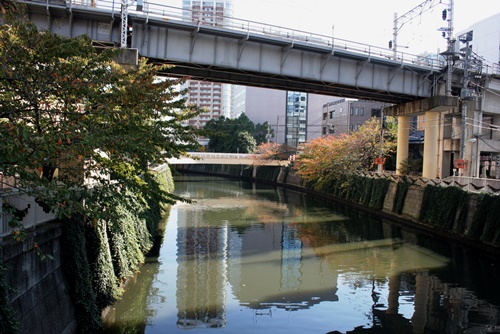 目黒川 西五反田１丁目 品川区 東京都