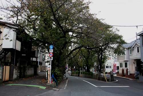 桜坂 田園調布本町 大田区 東京都