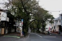 桜坂 田園調布本町 大田区 東京都