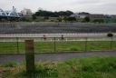 丸子の渡し跡 上丸子八幡町 中原区 川崎市 神奈川県