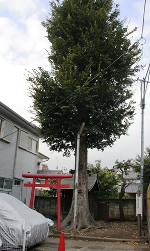御主殿跡 小杉御殿町１丁目 中原区 川崎市 神奈川県