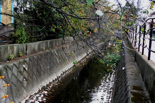 二ケ領用水 小杉御殿町２丁目 中原区 川崎市 神奈川県