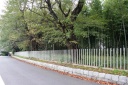 旧中原街道 勝田 町 都築区 横浜市 神奈川県