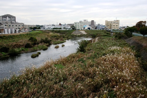鶴見川 都筑区/緑区 横浜市 神奈川県