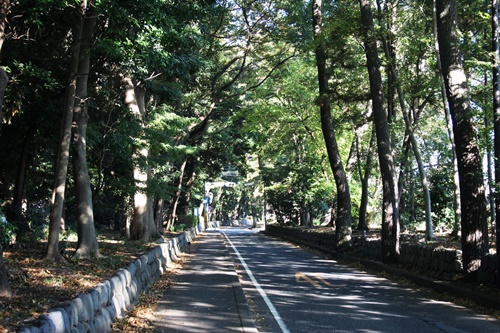 寒川神社参道 宮山 寒川町 高座郡 神奈川県